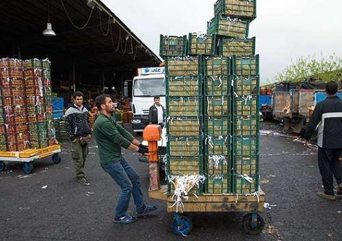 چند برابر شدن قیمت میوه از میدان مرکزی تا مغازه!