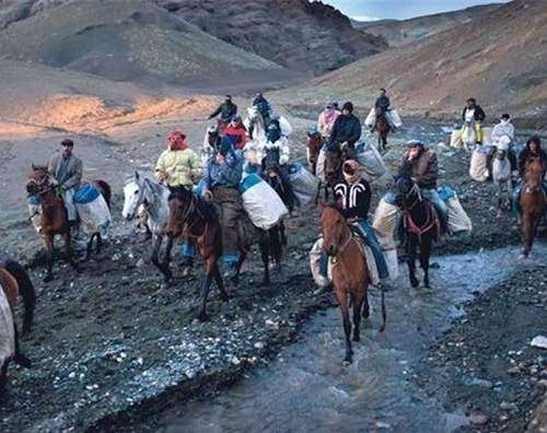 جولان قاچاقچیان سوخت در سیستان و بلوچستان