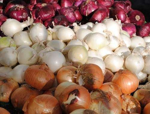 چرا زلزله بازار صیفیجات به پیاز رسید