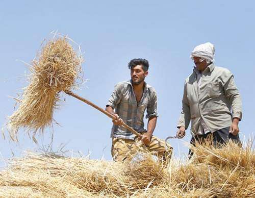 تولید ملی اولویت نخست آذربایجانغربی