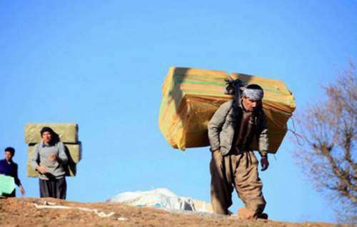سود کولبرها در چنبره مافیا
