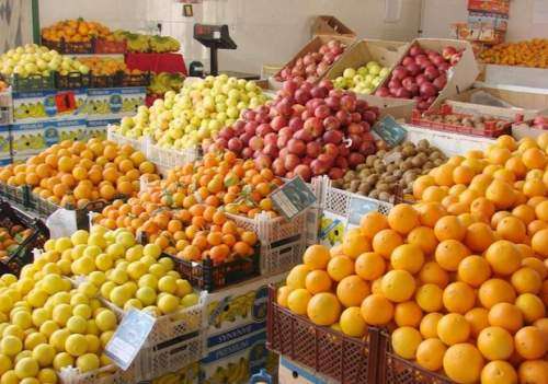 پرتقال نارس و براق در سبد میوههای مردم!