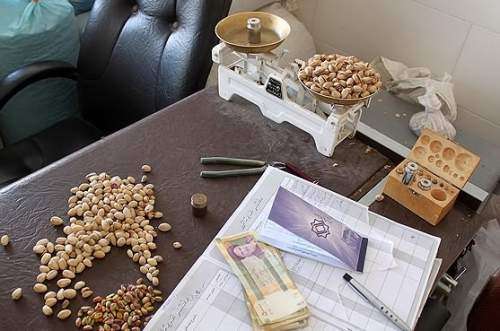 دلالان، بازار پسته را میچرخانند