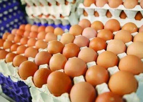 تخم مرغ گران‌تر از شانه‌ای 12600 تومان نخرید