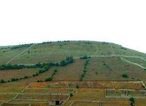 زمینخواری قانونی شد؟