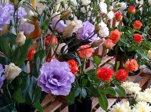 افزایش 50 درصدی قیمت گل در روز زن!