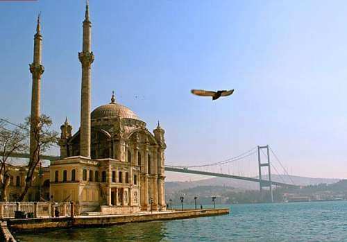 چرا سقوط لیر ترکیه به نفع توریستهای ایرانی نشد؟