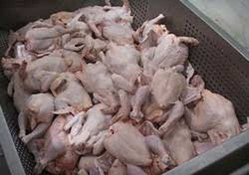 قیمت گوشت مرغ رکورد زد