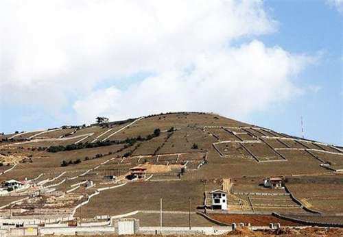 ابتلای مناطق آزاد کشور به ویروس زمینخواری