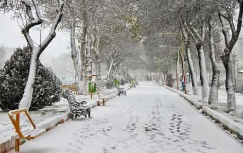 برف و باران و سرما از فردا در کشور