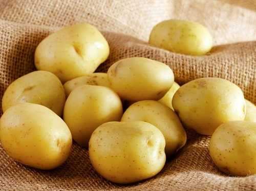 سیبزمینی های مشکوک در سبد خرید ایرانیها