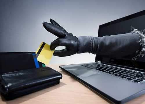 پانزی همچنان قربانی میگیرد