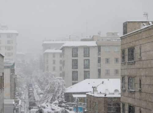 فصل سرد مستاجران از راه رسید