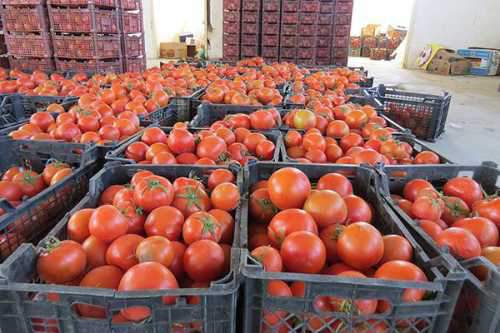 عراق واردات 17 محصول کشاورزی از ایران را ممنوع کرد