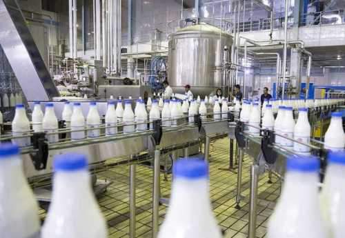 افزایش قیمت لبنیات تخلف است