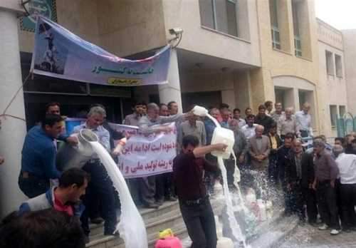 ادامه روند کاهشی قیمت خرید شیر از دامداران