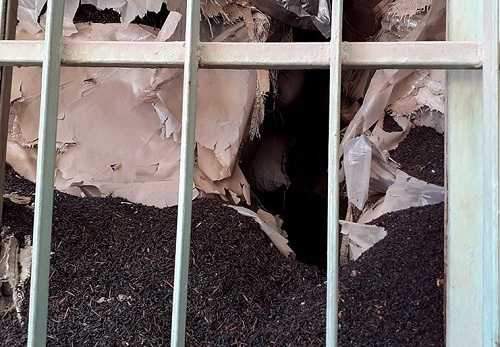 چای آلوده هم وارد بازار شد؟