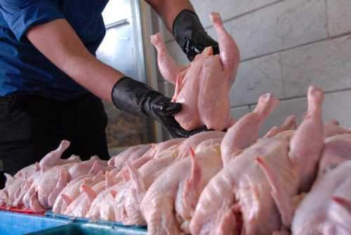 مرغ و گوشت چگونه ارزان شد؟