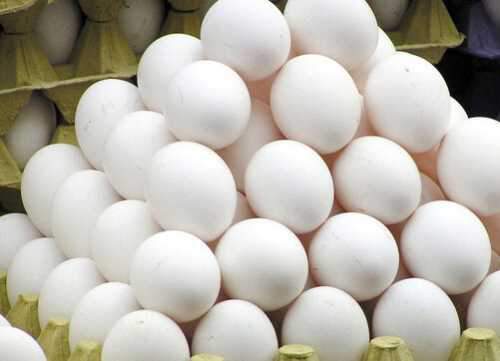 صعود قیمت تخم مرغ