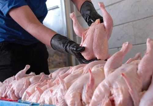قیمت مصوب گوشت مرغ 15 هزار تومان تعیین شد
