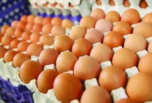 گران‌فروشی 8 هزار تومانی شانه تخم‌مرغ در بازار!