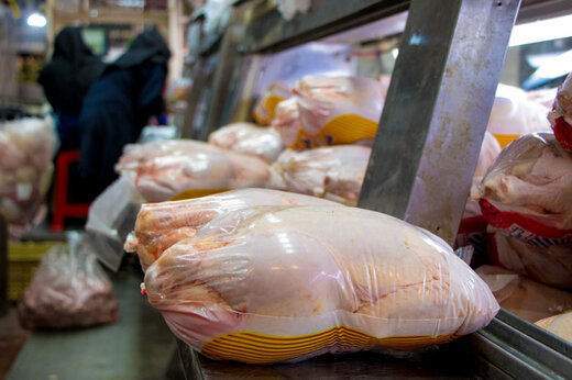فروش گوشت مرغ بالاتر از 20400 تخلف است