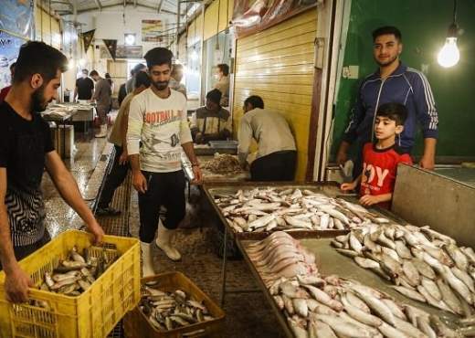 عرضه آبزیان با تخفیف 25 درصدی تا هفته سوم فروردین ماه
