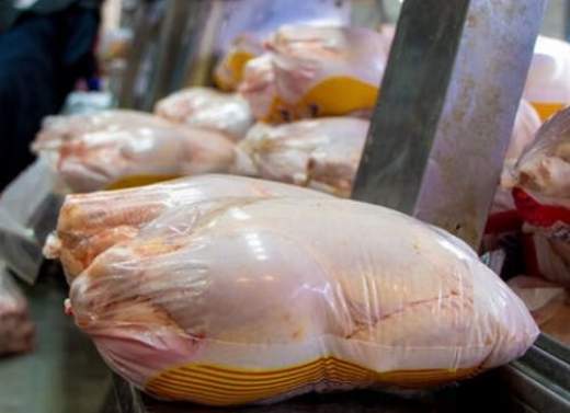 گوشت مرغ از امروز به میزان لازم وارد بازار میشود