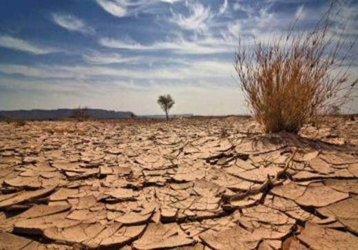 خشک‌ترین تابستان 50 سال اخیر