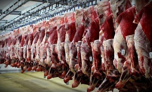 نگرانی ها برای تامین گوشت در آینده