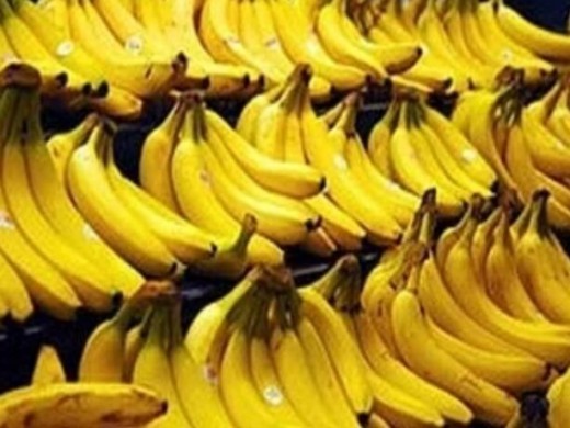 تکلیف واردات موز فورا مشخص شود