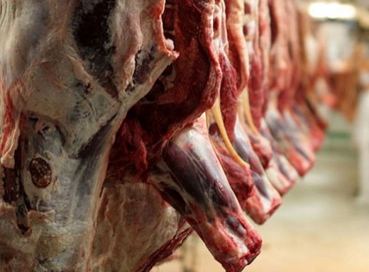 صادرات گوشت بهانه افزايش قيمت بعدی