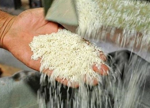 واردات برنج از 15 آذر ازسر گرفته میشود