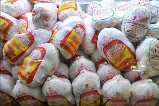 مرغهای وارداتی تحت نظارت به بازار عرضه میشود