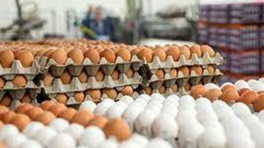 قیمت هر شانه تخم مرغ در بازار
