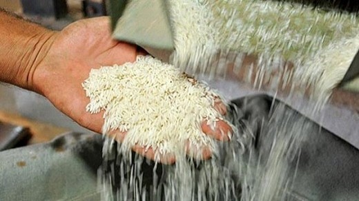 ۸۰ درصد برنج وارداتی از هند است
