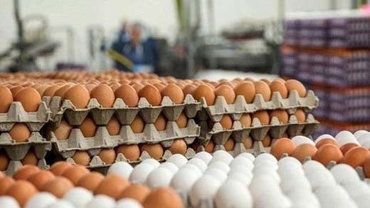 اعلام قیمت مصوب انواع تخممرغ بستهبندی