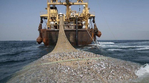 جاروکردن کف دریای عمان با سهام چینیها