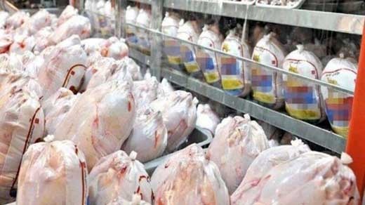 مرغ های یخ زده وارداتی ، وارد بازار شدند