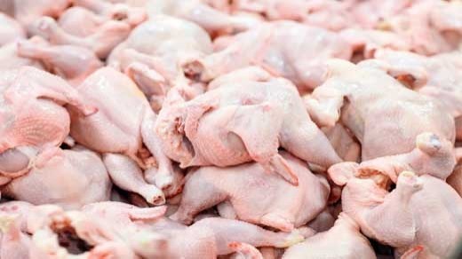 پیشبینی یک فعال اقتصادی از قیمت گوشت و مرغ
