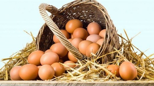 تخممرغ غیرقانونی گران شد