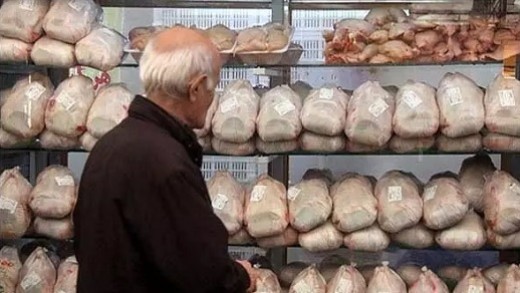 قیمت گوشت مرغ در بازار روند افزایشی گرفت