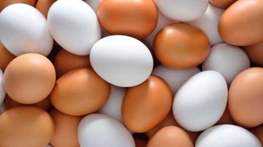 برخورد جدی با گرانفروشی مرغ و تخم مرغ
