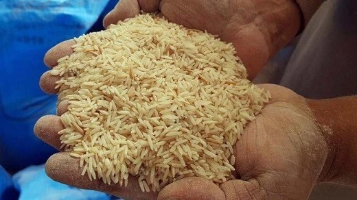 توزیع برنج تایلندی 12 هزار و 500 تومانی در سراسر کشور