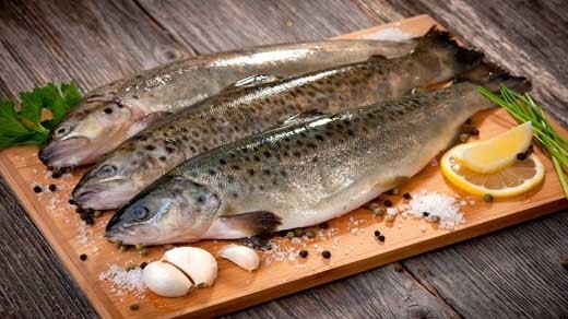 هر کیلو ماهی قزل آلا در بازار چند؟