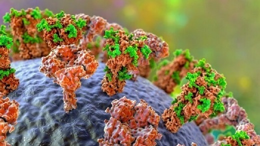 چرا بعضی‌ افراد کرونا نمی‌گیرند؟