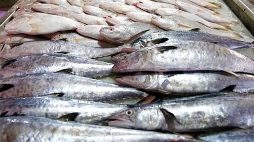 زمان عرضه ماهی شب عید اعلام شد