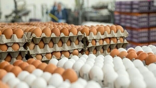 قیمت تخم مرغ در آستانه ثبت رکوردی جدید!