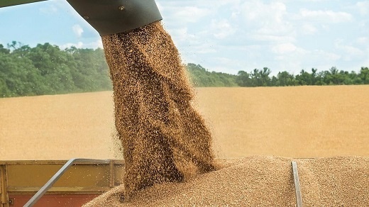 تاثیر جنگ اوکراین در بخش کشاورزی