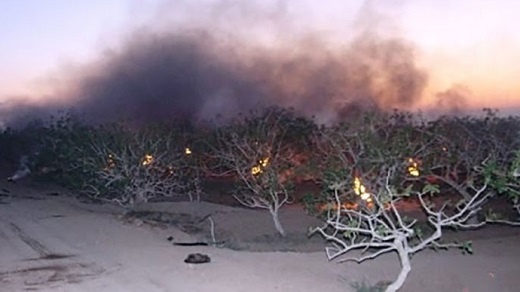 هشدار سرمازدگی برای کشاورزان 17 استان